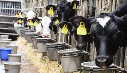 Top tips for weaning success 